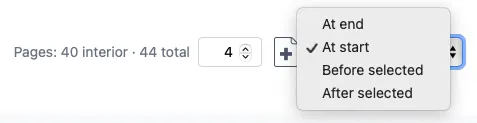 The page count controls in the top bar showing options for adding pages to the end or inserting them before or after a selected page.